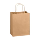 16" x 6" x 19 1/4" Kraft Paper Shopping Bag With Twisted Handles - (200/Case)