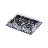 #11 Black PET Plastic Sushi Containers with Clear Lids 10.1" x 7.3" x 2" - (200/Case)