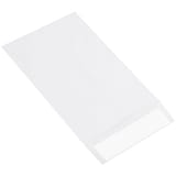 6 x 9" Flat Ship-Lite® Envelopes