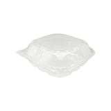 9" Clear PET Plastic Hinged Take-Out Containers - (200/Case)