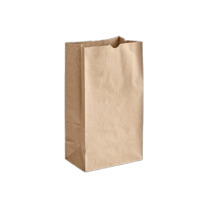20 lb. Natural Kraft Heavy-Duty Paper Bag - (200/Case)