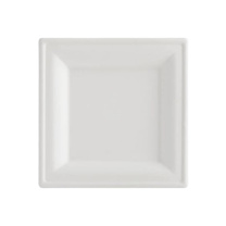 10" x 10" White Sugarcane Bagasse Square Plate - (500/Case)
