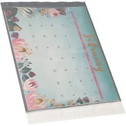 14-12-x-19-clear-view-poly-mailers