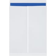 15-x-20-white-jumbo-envelopes