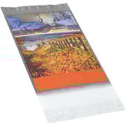 5-x-7-clear-view-poly-mailers