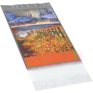 6-x-9-clear-view-poly-mailers-1000carton