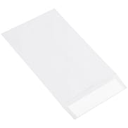 6 x 9" Flat Ship-Lite® Envelopes