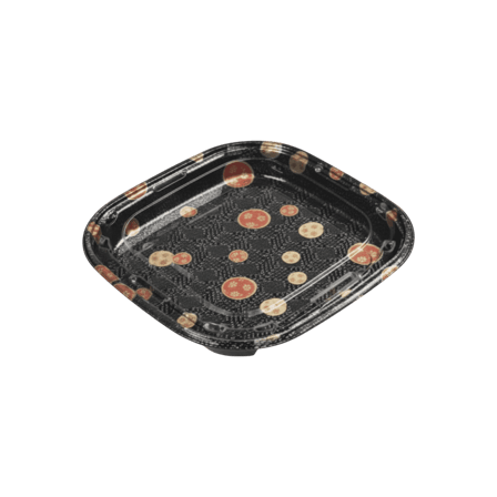 10.24'' x 10.24'' x 1.93'' square sushi containers with clear lid.png