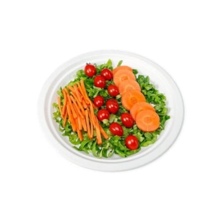 Eco-friendly 11-inch heavy-duty sugarcane compostable plate with fresh garden salad, cherry tomatoes, sliced carrots..jpg