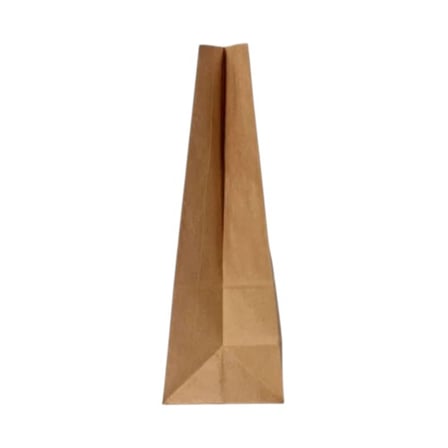 Side view of 12# Kraft Paper Grocery Bag.jpg