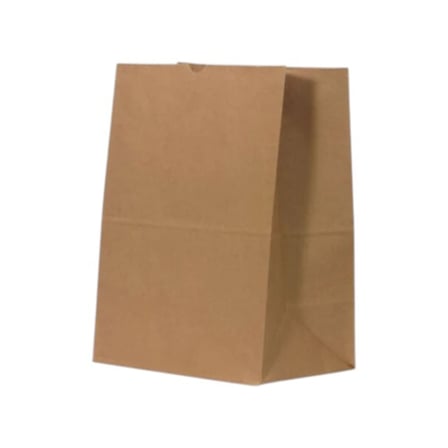Kraft Paper Grocery Sack.jpg