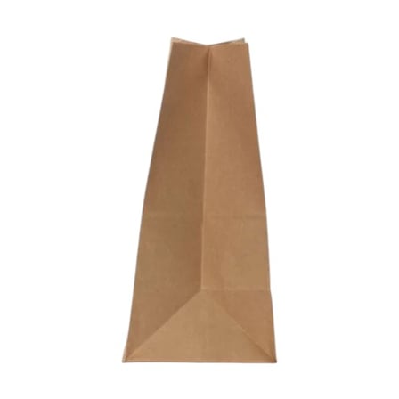 Side View of Kraft Paper Grocery Sack.jpg