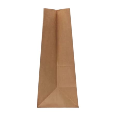 Side View of 20# Kraft Paper Grocery Bag.jpg