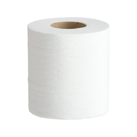 4 x 3 2-PLY White toilet tissue roll, 500 sheets.jpg