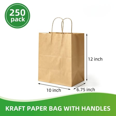 Kraft Paper Shopping Bags with Handles 10 x 6.75 x 12 Inches.jpg