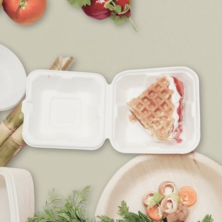 6 x 6 Heavy duty compostable bagasse clamshell take out container holding dessert.jpg