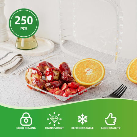 8" Clear Plastic Hinged Take-Out Containers 8.26" x 8.26" x 3.0" - (250/Case)