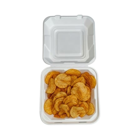 9 x 9 Heavy duty compostable bagasse clamshell take out container with potato chips.jpg