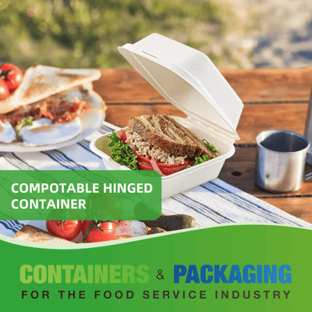 6" x 6" x 3" No PFAS Added 1-Compartment Bagasse Hinged Take-Out Containers - (500/Case)