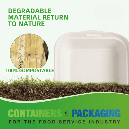 6" x 6" x 3" No PFAS Added 1-Compartment Bagasse Hinged Take-Out Containers - (500/Case)