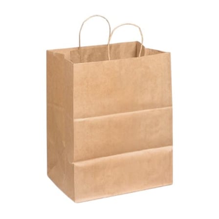 Duro dubl life 10 X 6.75 X 12 recycled kraft paper shopping bag with handles.jpg
