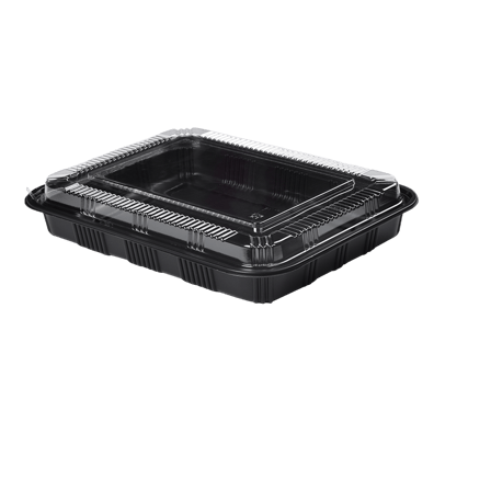 Rectangular Black Plastic Containers with lids 10.4" x 7.9" x 1.9" - (200/Case)