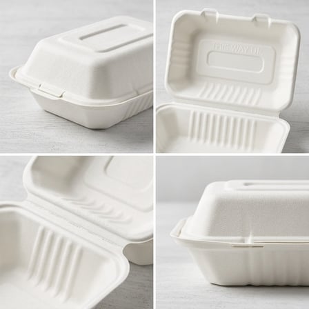 9" x 6" x 3" Sugarcane Bagasse Clamshell White 1-Compartment Take-Out Container - (200/Case) product image