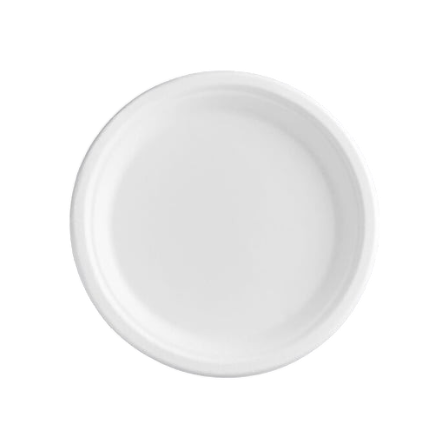 9 White Sugarcane Bagasse Round Plates.png