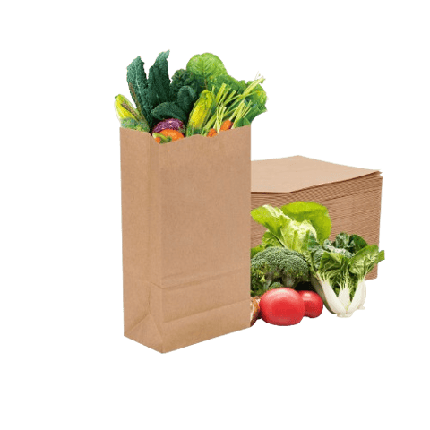10 lb Kraft Paper Bags 6.3" x 4.2" x 13.4" - (1000/Case)