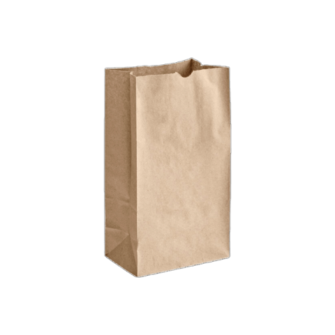 20 lb. Natural Kraft Heavy-Duty Paper Bag - (200/Case)