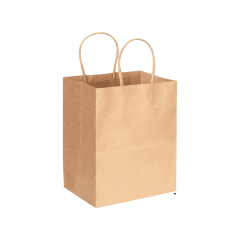 #3 Kraft Paper Shopping Bags with Handles 8" x 4.5" x 10.25" - (250/Case)