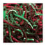 10 lb. Christmas Blend Crinkle Paper