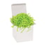 10 lb. Lime Crinkle Paper