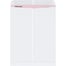 10 x 13" White Gummed Envelopes