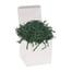 40 lb. Forest Green Crinkle Paper